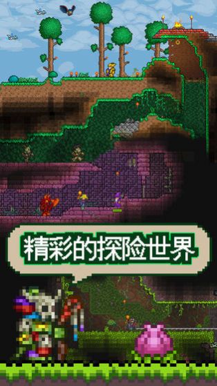 tl proAPP最新手機版2021截圖4