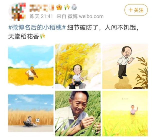 微博名后的小稻穗怎么設置？微博名后的小稻穗圖標設置教程