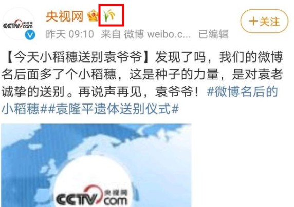 微博名后的小稻穗怎么弄？微博名小稻穗添加方法