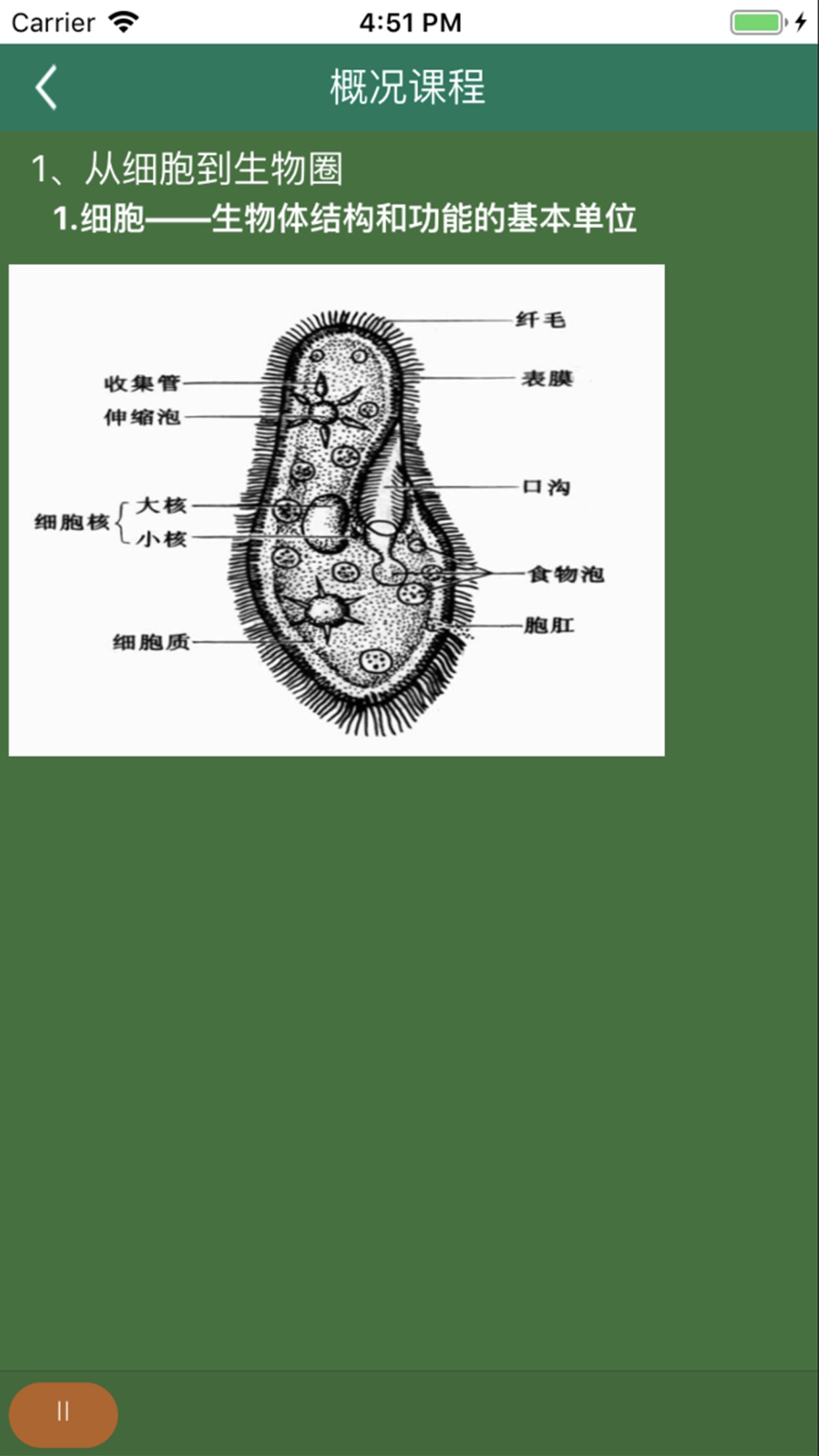 松鼠高中生物app安卓版截圖2