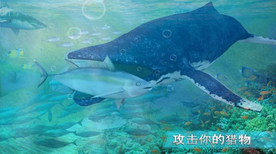 全民養(yǎng)鯨魚紅包版()游戲截圖5
