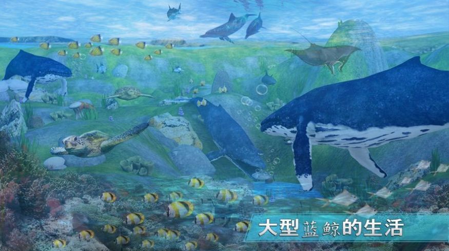 全民養(yǎng)鯨魚紅包版()游戲截圖1