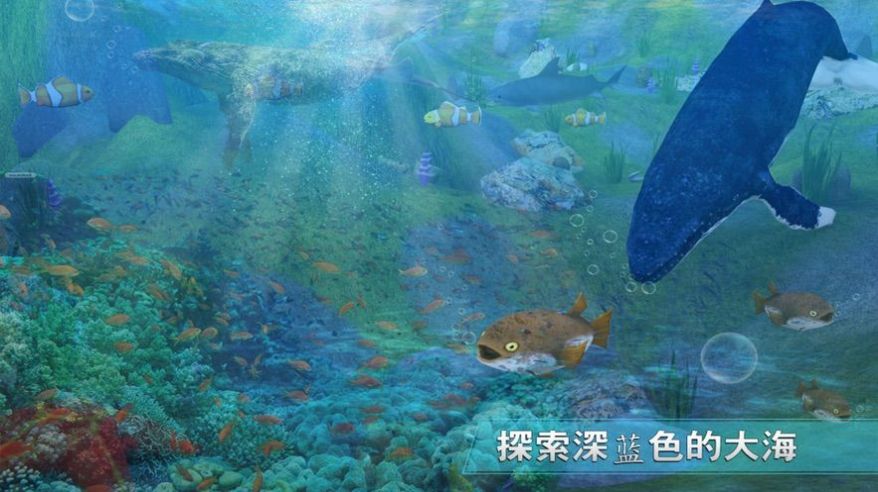 全民養(yǎng)鯨魚紅包版()游戲截圖2