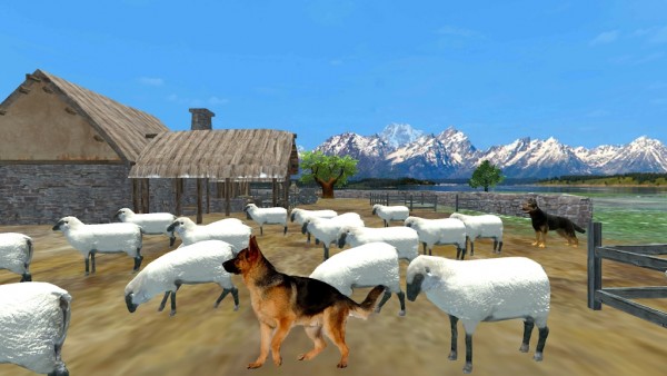 牧羊犬動物3D游戲最新版截圖3