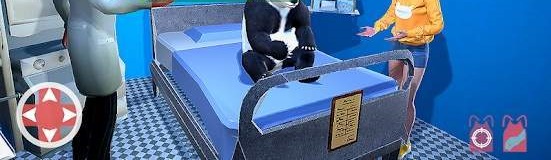 動物寵物醫(yī)生游戲最新安卓版截圖3