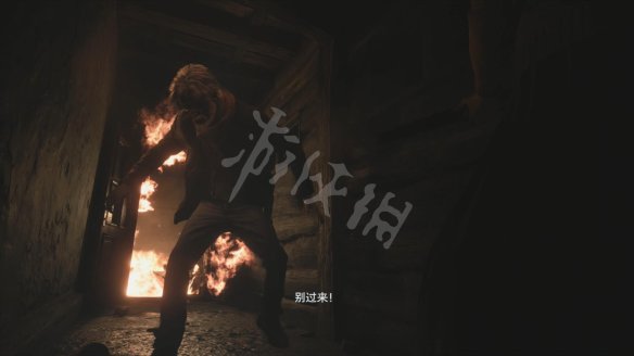 生化危機(jī)8全劇情通關(guān)攻略，主線流程及物品道具全收集圖問匯總[多圖]圖片35