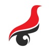 學(xué)信網(wǎng)app下載手機版版