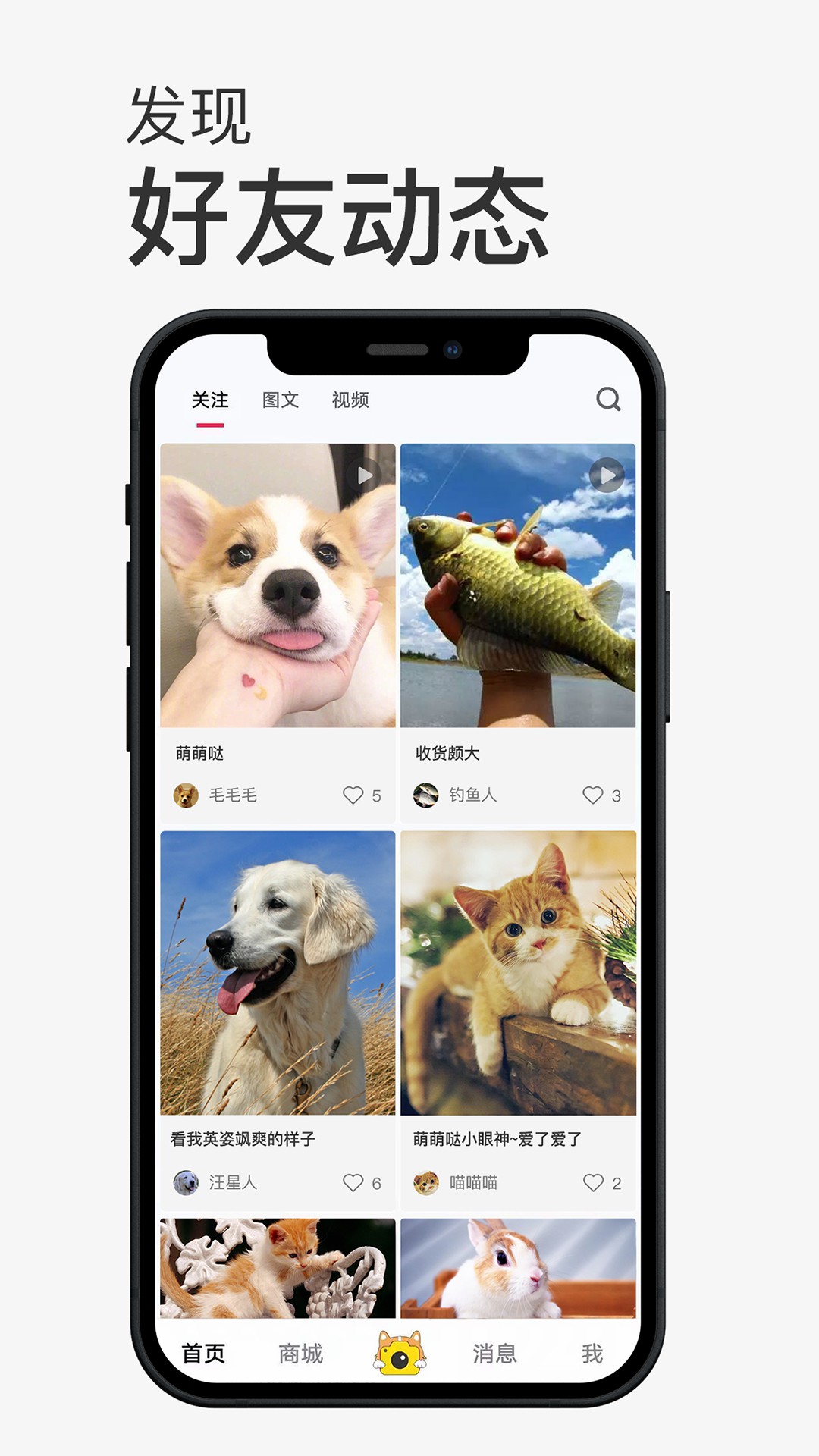 小寵書(shū)App版截圖4