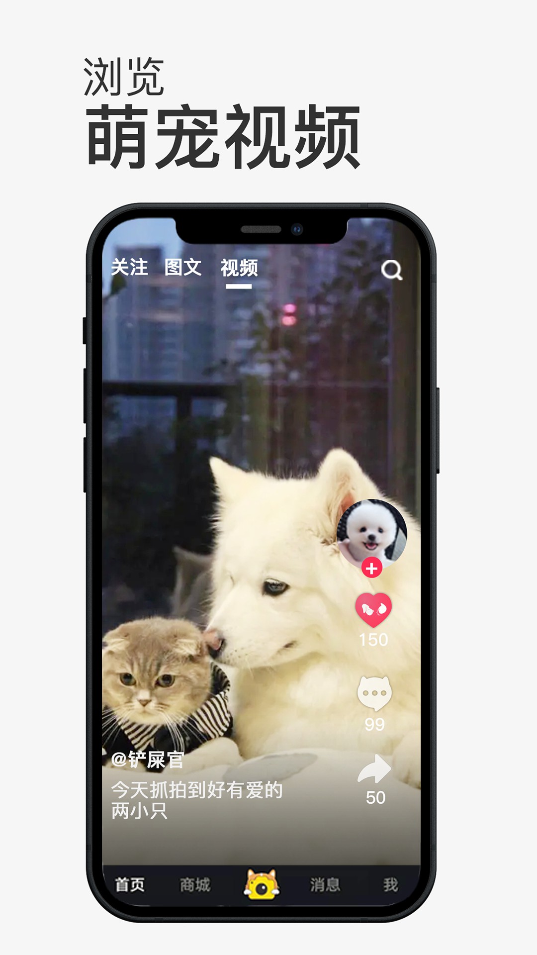 小寵書(shū)App版截圖2