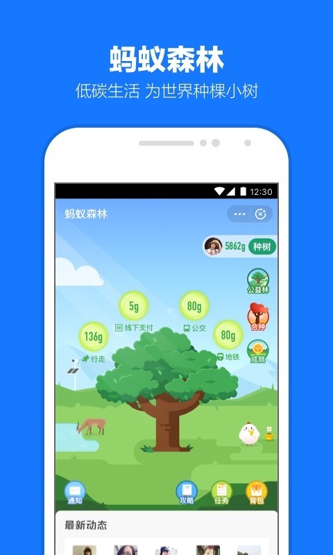 支付寶app長輩模式下載安裝截圖5
