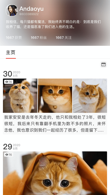 寵年年App軟件手機(jī)版截圖2