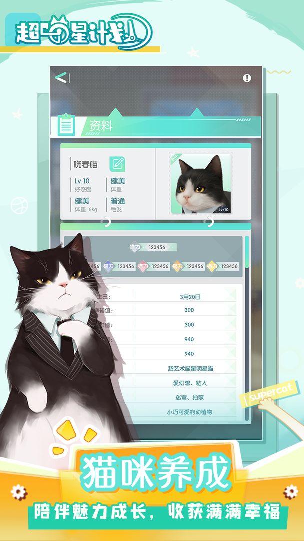 喵星聯(lián)盟游戲安卓版截圖2