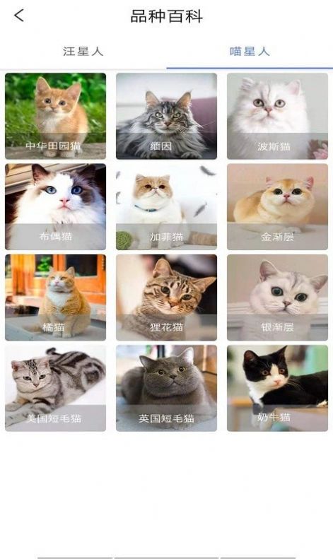 寵物知識(shí)全書app手機(jī)版截圖1