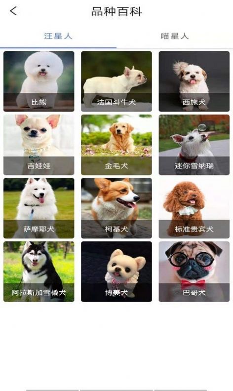 寵物知識(shí)全書app手機(jī)版截圖4