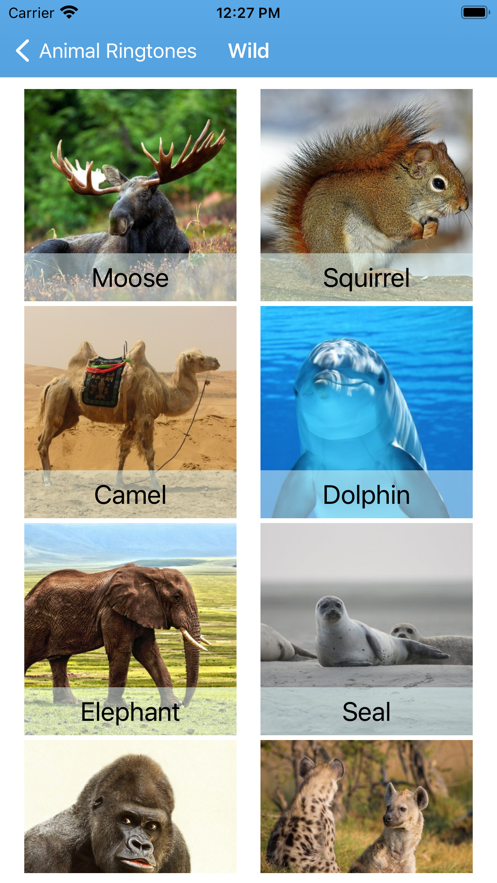 有趣的動物鈴聲App軟件版截圖3