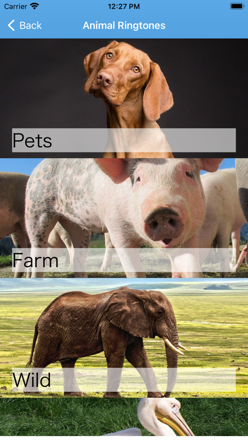 有趣的動物鈴聲App軟件版截圖1
