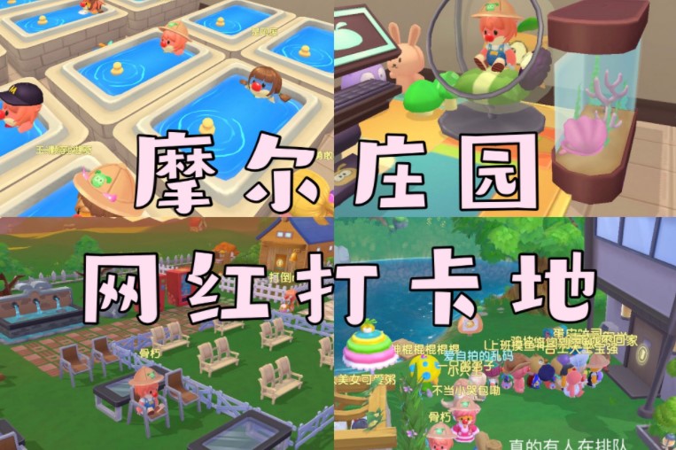 摩爾莊園手游網(wǎng)紅打卡地在哪？網(wǎng)紅打卡地點位置匯總
