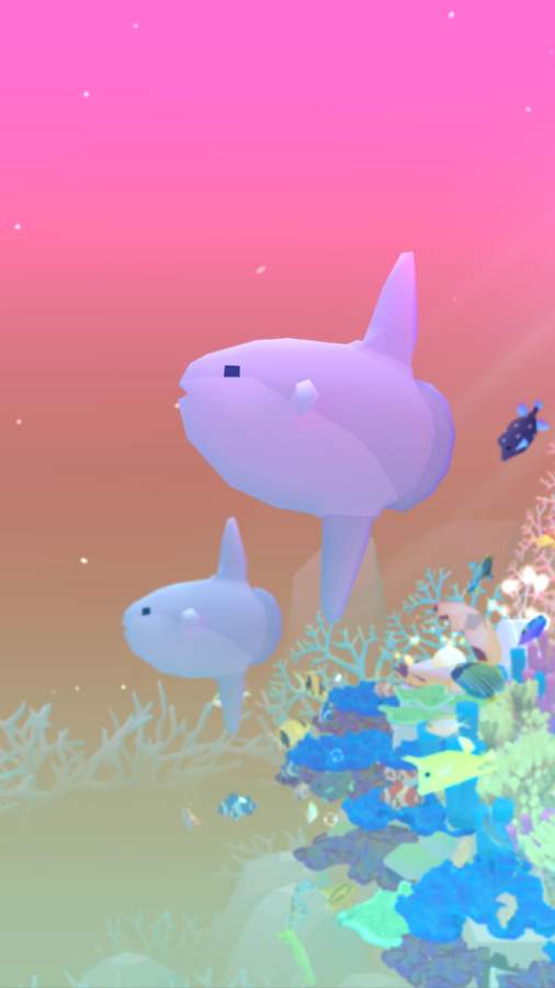 深海水族館5周年隱藏魚最新版最新版本截圖3
