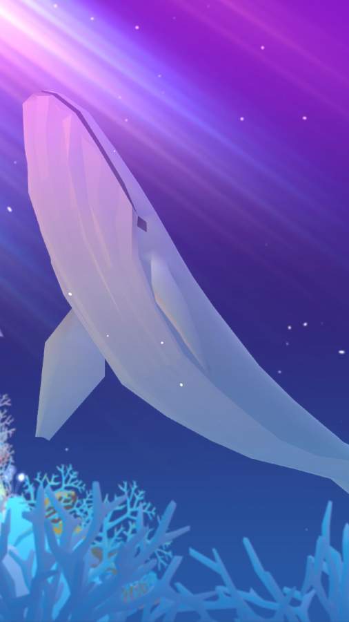 深海水族館5周年隱藏魚最新版最新版本截圖4
