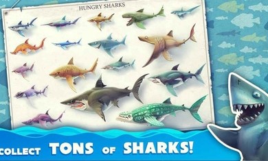 饥饿鲨世界国际服SharkJira无限珍珠最新版截图1: