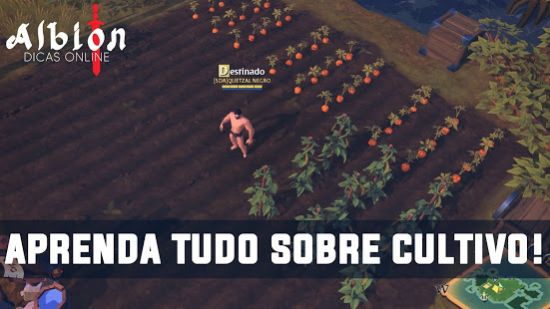 Albion Online截圖4