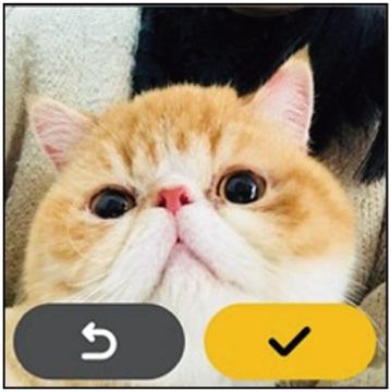 微信兒童版下載正式版截圖5