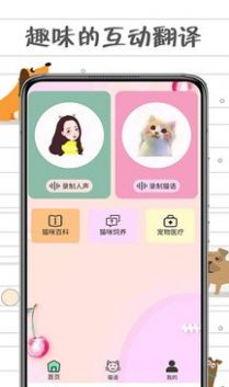 小貓交流器app下載截圖2