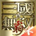 真三國無雙智霸天下手游最新版