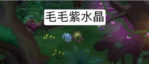 摩爾莊園毛毛紫水晶在哪？毛毛紫水晶位置分布圖一覽