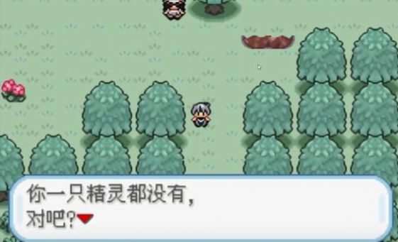 口袋妖怪復興v13漢化安卓版安裝截圖1