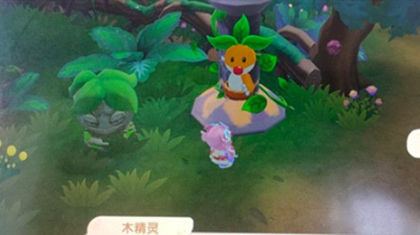 摩爾莊園木靈珠怎么獲得？木靈珠獲取方法介紹