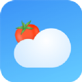 番茄天气预报app版