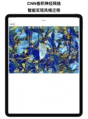 藝術家濾鏡APP手機版截圖2