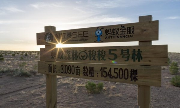 支付寶車輛停駛怎么沒有了？2021螞蟻森林汽車停駛獎勵新規(guī)則一覽[多圖]圖片2