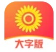 爱读大字版app客户端