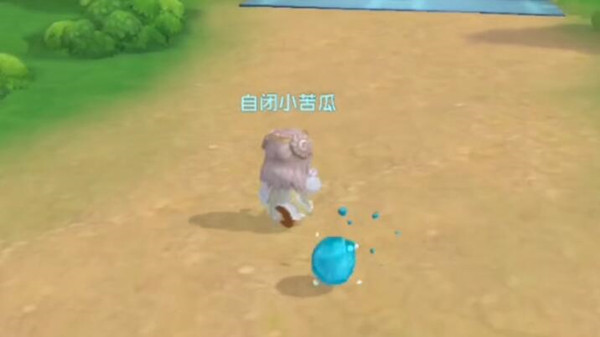摩爾莊園寵物捕捉攻略：寵物捕捉位置大全