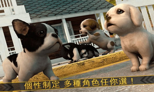 超級(jí)小汪大闖關(guān)游戲版截圖4