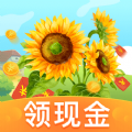 小花园游戏红包版app