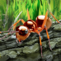 昆蟲世界生存指南游戲版