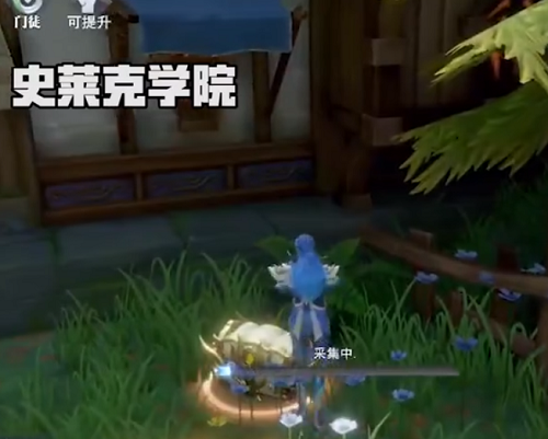 斗羅大陸魂師對(duì)決史萊克學(xué)院寶箱位置在哪里？史萊克學(xué)院寶箱位置坐標(biāo)大全