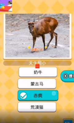 臭弟弟沖鴨游戲紅包版截圖3