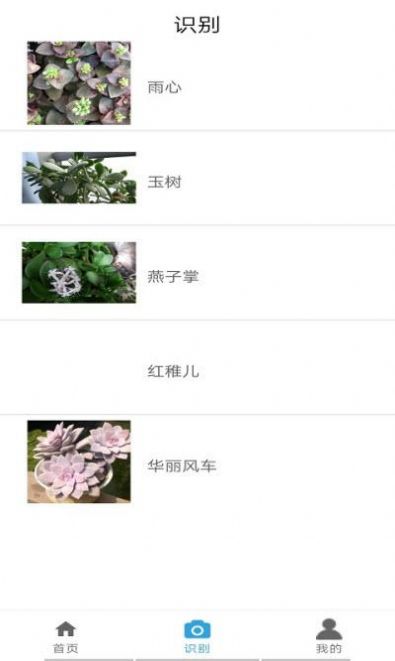 自然生活app版截圖2