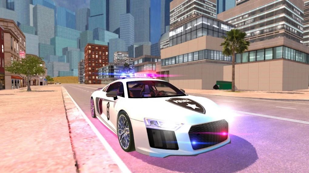 R8警察模拟器2021游戏中文版4