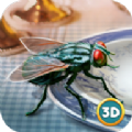 抖音3D仿真蒼蠅模擬器游戲最新安卓版