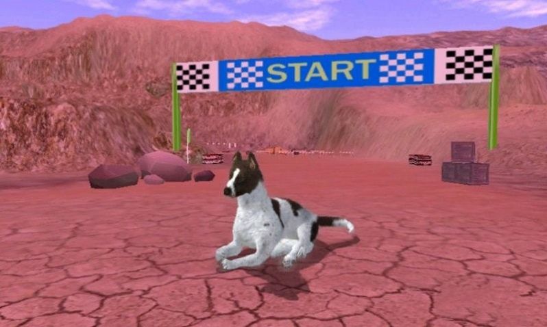 狂犬模擬器游戲安卓版截圖3