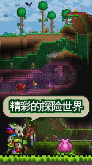 泰拉瑞亞國際服1.4中文版下載手機(jī)版截圖4