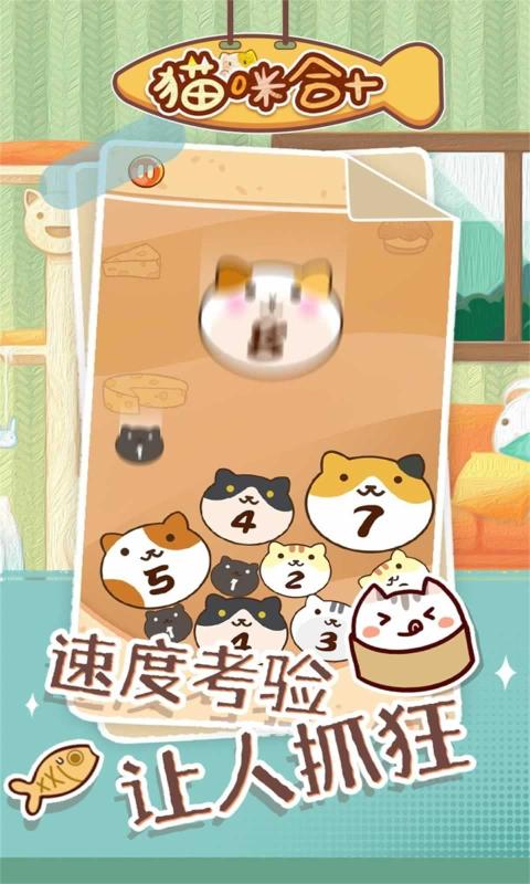 貓咪合十游戲版截圖2