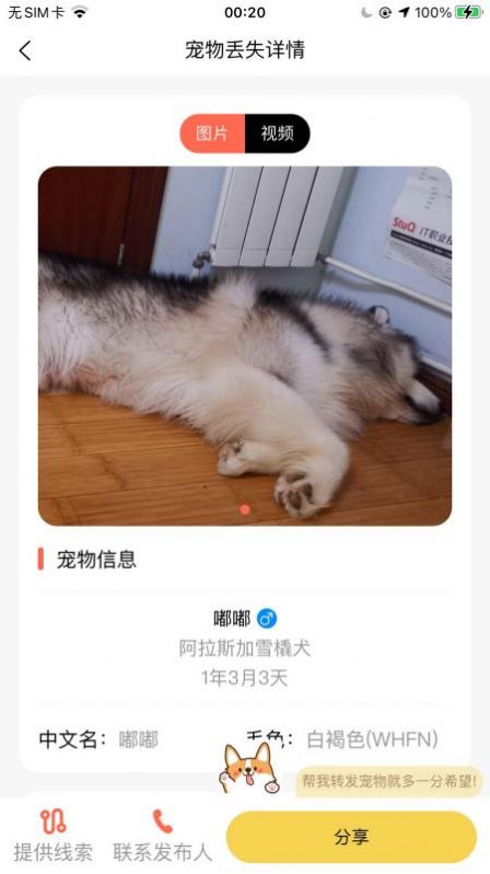 愛寵守護(hù)者App手機(jī)版截圖4