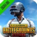 pubg国际服安装包最新版免费下载