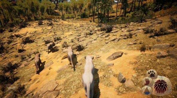 Animalia Survival游戲中文版截圖4